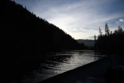 DSC_0301 (Large).JPG